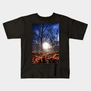 Autumn in Epping Forest Kids T-Shirt